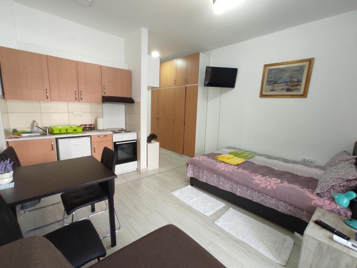 Apartman Goca Banja Koviljača Extérieur photo